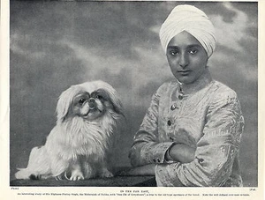 PEKINGESE INDIANER MAHARADSCHA UND SEIN BENANNTER HUND ALTER 1934 HUNDEABDRUCK - Bild 1 von 1