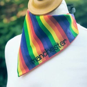 Rainbow Pride Dog Bandana Slip On Collar Neckerchief LGBT Scarf Tie Personalise - Picture 1 of 9