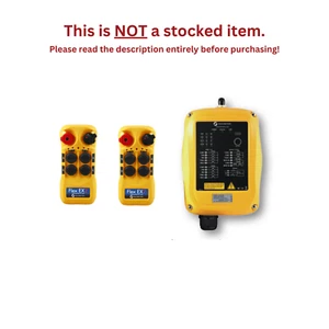 MAGNETEK FLEX EX2 RADIO REMOTE SYSTEM - FLEX-4EX2-09-2T - Picture 1 of 6
