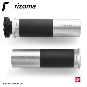 KAWASAKI Z 650 2017-2019 Grips Icon RIZOMA GR225A Silver - Picture 1 of 4