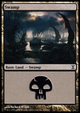 MTG-1x-Heavy Play, English-Swamp (293) - Foil-Time Spiral
