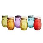 Style Setter 206242-6GB Owl Colors 6 Piece Glass Jar Set- Glass Canister with