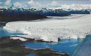 Vintage Alaska Chrome Postcard Columbia Glacier - Picture 1 of 2
