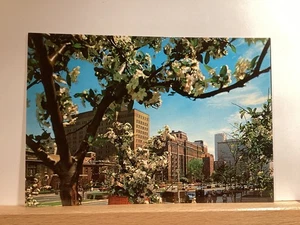 University Avenue, Toronto : Ontario, Canada - Vintage Postcard - Picture 1 of 3