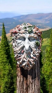 Latex and Fibreglass Mould Frog Face Woody Plaque - Picture 1 of 1