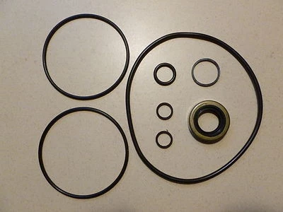 Premium Power Steering Pump 8 Piece Seal Kit-IN STOCK- Chevrolet- Nova  Corvette - Image 1 of 3