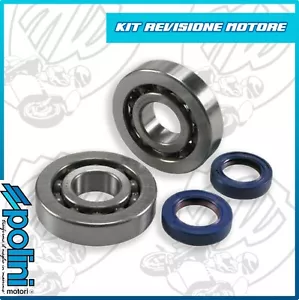 KIT REVISIONE MOTORE GILERA RUNNER 50 2T LC - Foto 1 di 1