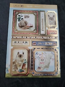 Hunkydory Curious Cats - Pawsitively The Best Card Kit - Picture 1 of 3