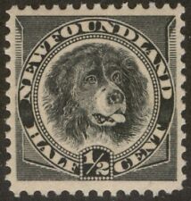 NEWFOUNDLAND 58 NSSC40 1894 1/2c BLACK FIRST DOG ON A STAMP BABNC MNH VF CV$150