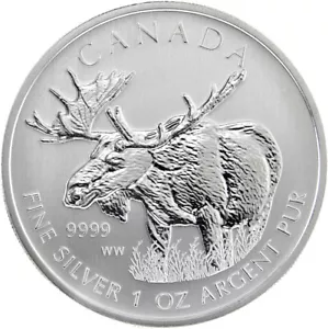 Canada 2012 Moose Wildlife Series $5 Pure 1 Oz Silver Coin BU in Capsule - Picture 1 of 4