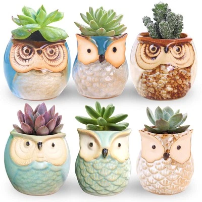 6 Pcs Owl Mini Ceramic Succulent Pots Cute Plant Holders for Home Decor - Imagem 1 de 4