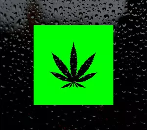 1 x quadratischer detaillierter Cannabisblatt Vinyl Aufkleber Abziehbild Weed Pot Hasch Ganja THC - Bild 1 von 3