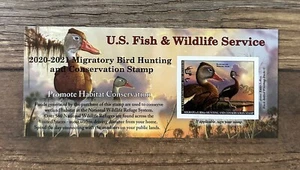 WTDstamps - #RW87A 2020 - 2021 - US Federal Duck Stamp **ARTIST SIGNED** - Picture 1 of 3