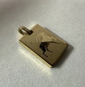 Capricorn Zodiac Pendant – Gold-Plated Astrology Charm – Gift for Her - Picture 1 of 2