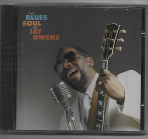 Jay Owens- The Blues Soul Of UK CD Album New - Picture 1 of 2
