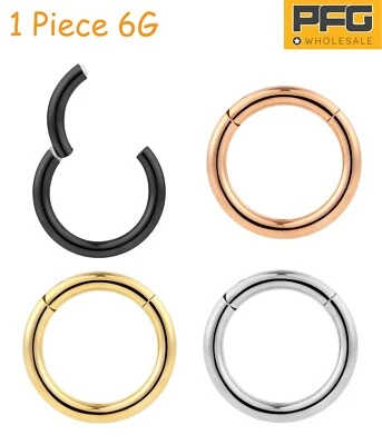 1pc Surgical Steel 6G Hinged Hoop Segment Nipple Septum Ring Earring 10mm-22mm Foto 1 de 4