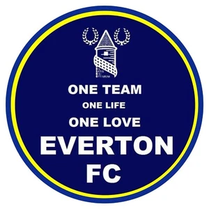 everton pin anstecker - Bild 1 von 2