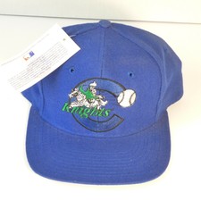 charlotte knights hats