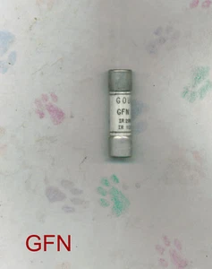 NEU SHAWMUT GFN1 SICHERUNG GFN 1 1 AMP 250 VOLT - Bild 1 von 1