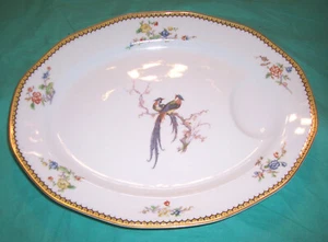 Haviland Limoge EDEN 13" Oval Meat ROAST PLATTER Serving Dish w Gravy Well Blois - Picture 1 of 5