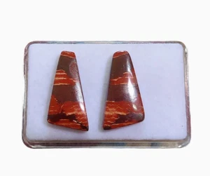 1 paio Snake Skin diaspro pelle di serpente diaspro cabochon 24x14 mm n. U34326 - Foto 1 di 1