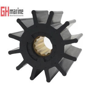 Impulsor flexible de bomba de agua cruda con motor MAN W 3V 17,5/22A intraborda marina - Imagen 1 de 9