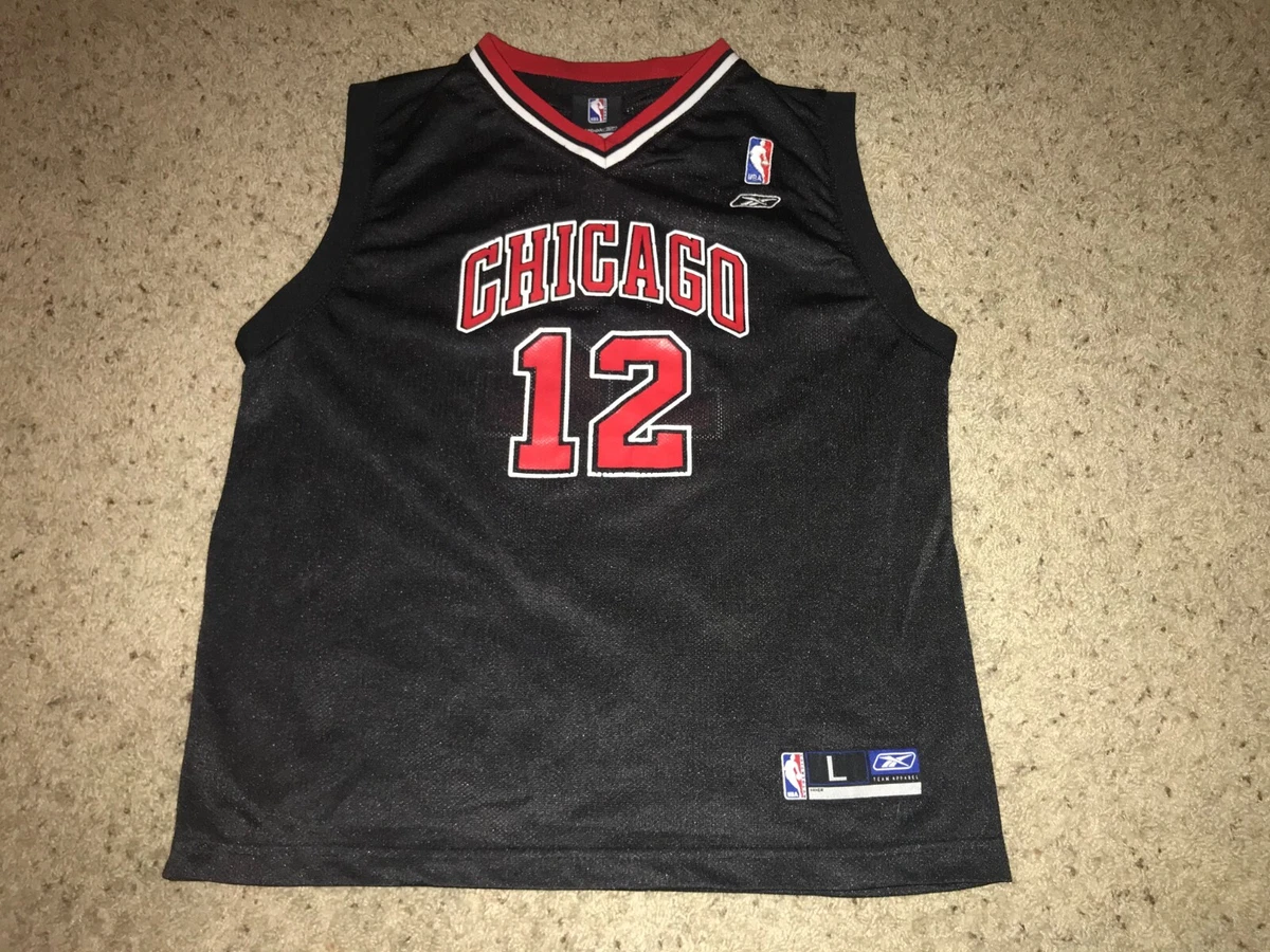 kirk hinrich jersey products for sale | eBay