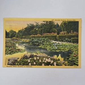 Beautiful Water Gardens Beverly Hills California Vintage Linen Postcard Flowers - Picture 1 of 6