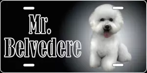 Marco de matrícula personalizado personalizado GRATUITO BICHON FRISE perro monograma etiqueta automática - Imagen 1 de 10