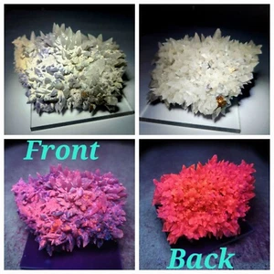 ***TOP-360° Floater Fluorescent Calcite Fluorit Kristalle, Mine Mexico*** - Bild 1 von 11