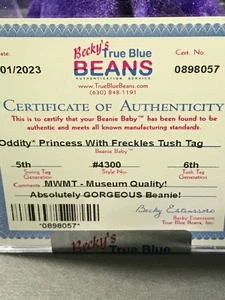 Ty Princess Beanie Baby ODDITY - SOMMERSPROSSEN Tush Tag ZERTIFIZIERT NEU MIT ETIKETT von Becky’s - Bild 1 von 4