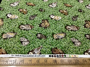 Makower-703-Owls On Ivy-100% Cotton - Picture 1 of 5