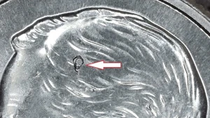 2020 P Roosevelt Dime Drooling Frank Error & Multiple Die Chips  & Off-Center 02 - Picture 1 of 11