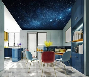 3D Starry Sky NA4636 Ceiling WallPaper Murals Wall Print Decal Deco AJ WALL Fay - Picture 1 of 5