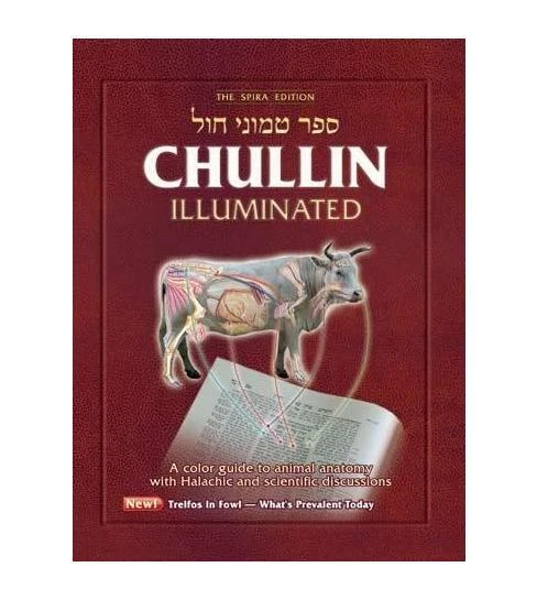 CHULLIN ILLUMINATED: COLOR GUIDE TO By Rabbi Yaakov Dovid Lach BRAND NEW - Image 1 of 1