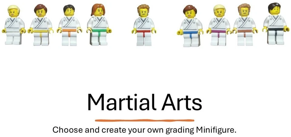 Karate Belt Grading Personalised Minifigure With Display case Create your grade. - Image 1 of 4