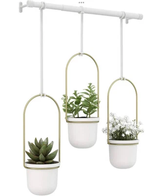 全新 Umbra Triflora 悬挂式花盆 室内植物 草药 白色和黄铜 — 第 1/4 张图片