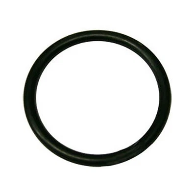 NAA533A - O Ring for Hydraulic Lift Piston - NAA Fits Ford Tractors - Image 1 of 4