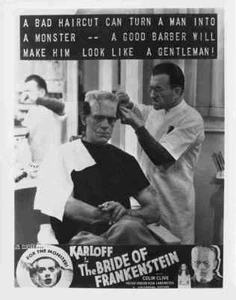 Bride of Frankenstein The 11 Film A4 Poster Print 10x8 - Picture 1 of 1