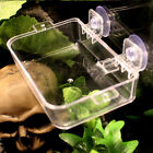  Acrylic Reptile Feeding Box Escape Box Feeder Bowl For Reptile Snake Python