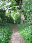 Photo 6x4 Footpath to Albourne Church Probably the continuation of the cu c2009