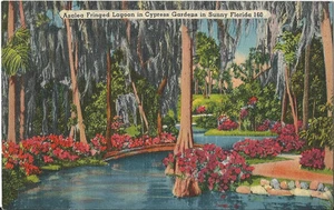 Postcard Florida Winter Haven Azaleas Fringed Lagoon Cypress Gardens 1939 NrMint - Picture 1 of 1