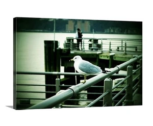 Canvas print wall Art photo by S Dolinni © 24x36x1.5 Residents of New York - Picture 1 of 2