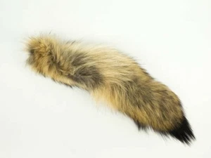 COYOTE TAIL - 10" - 16" average ~ ANIMAL TAILS - HAIR - ON ~*{TEMP OUT ov STOCK} - Picture 1 of 1