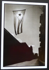 MI BANDERA / MI BANDERA / Póster Revolución Cubana con Foto 1980 / ARTE CUBA - Imagen 1 de 5