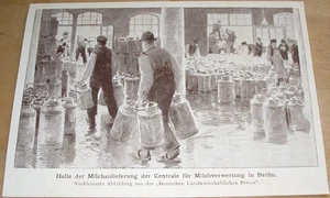 Um ~1893: Berlin Centrale Milchverwertung Milchanlieferung Parey-Prospekt - Bild 1 von 4