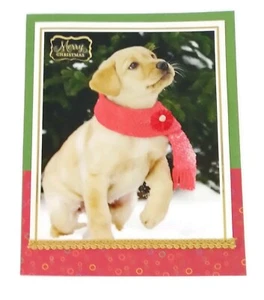 CHRISTMAS Holiday Greeting Cards - Dog Scarf - Handmade From Recycle SALE - Picture 1 of 2