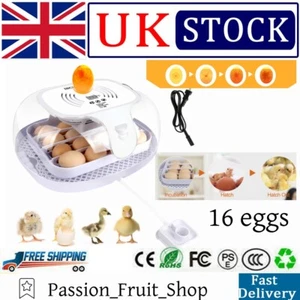 16 Eggs Egg Incubator Automatic Digital Poultry Egg Hatcher Egg Candler Hatching - Picture 1 of 12