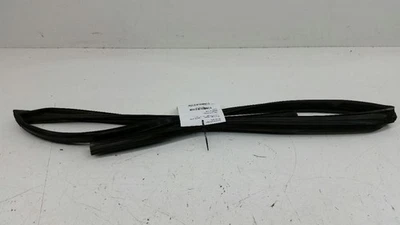 Junta de goma con sello de ventana de vidrio para puerta Nissan Sentra delantera izquierda 2007 2008 Foto 1 de 2