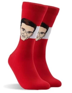 NEW Sockey Hall of Fame TED LINDSAY Alumni NHL Hockey Socks DETROIT RED WINGS - Picture 1 of 4